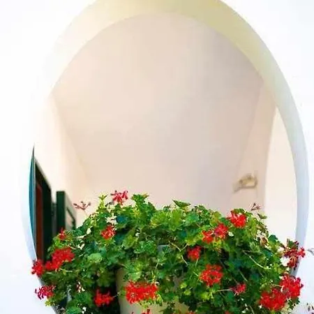 Villa Il Sogno Di Zia Ada Massa Lubrense